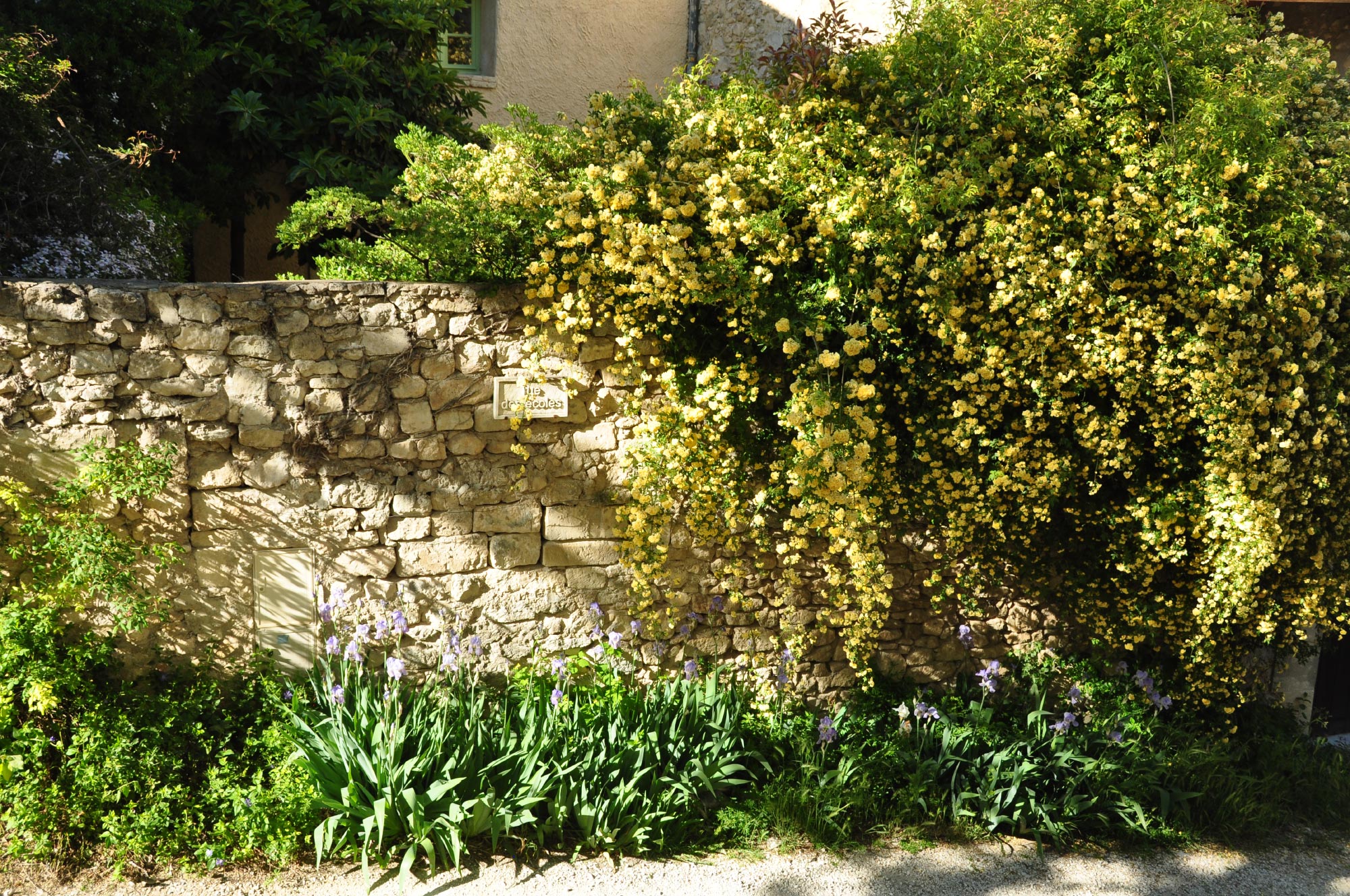 Oppède le Vieux